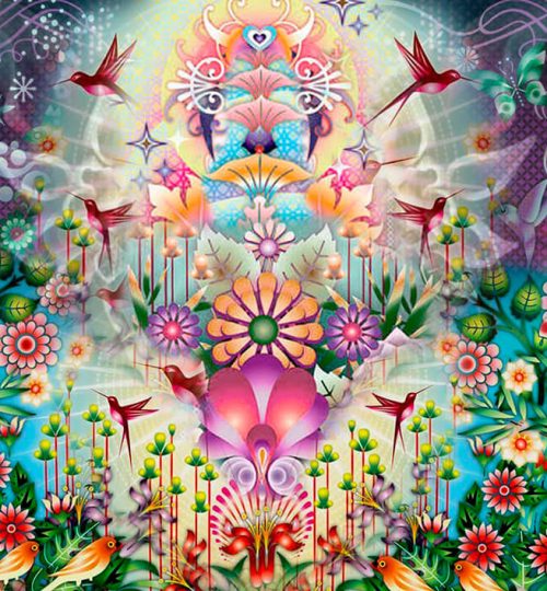 art–interview-with-catalina-estrada